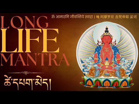 ☸️Amitayus Buddha Long Life Mantra || Melodious Chanting for Health & Vitality