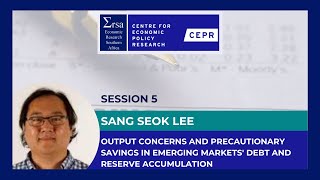 Session 5: Output Concerns & Precautionary Savings in Emerging Markets' Debt & Reserve Accumulation