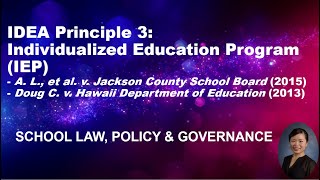 IDEA principle 3: Individualized educational program (IEP)