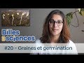 Billes de sciences 20  aurlie froger  graines et germination