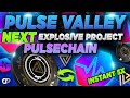Pulse valley  next explosive project on pulsechain 100x  gentlemans poker club  cryptoprnr