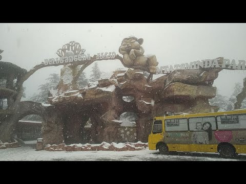 თოვლიანი ულამაზესი მთაწმინდის პარკი, გუნდაობა 27 დეკემბერი 2018