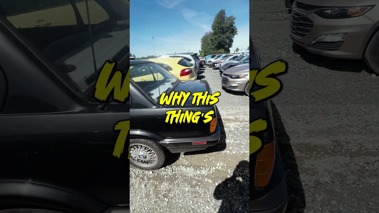 Auction Find A Forgotten AWD BMW Bendaga