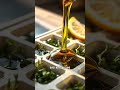 Herb Ice Cubes: Zero Waste Cooking Hack! Fresh Flavor Every Time 🌱🍳 #cooking #hacks #herbs #food