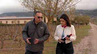 Finca San Martín 2022: Expresión frutal de Rioja Alavesa