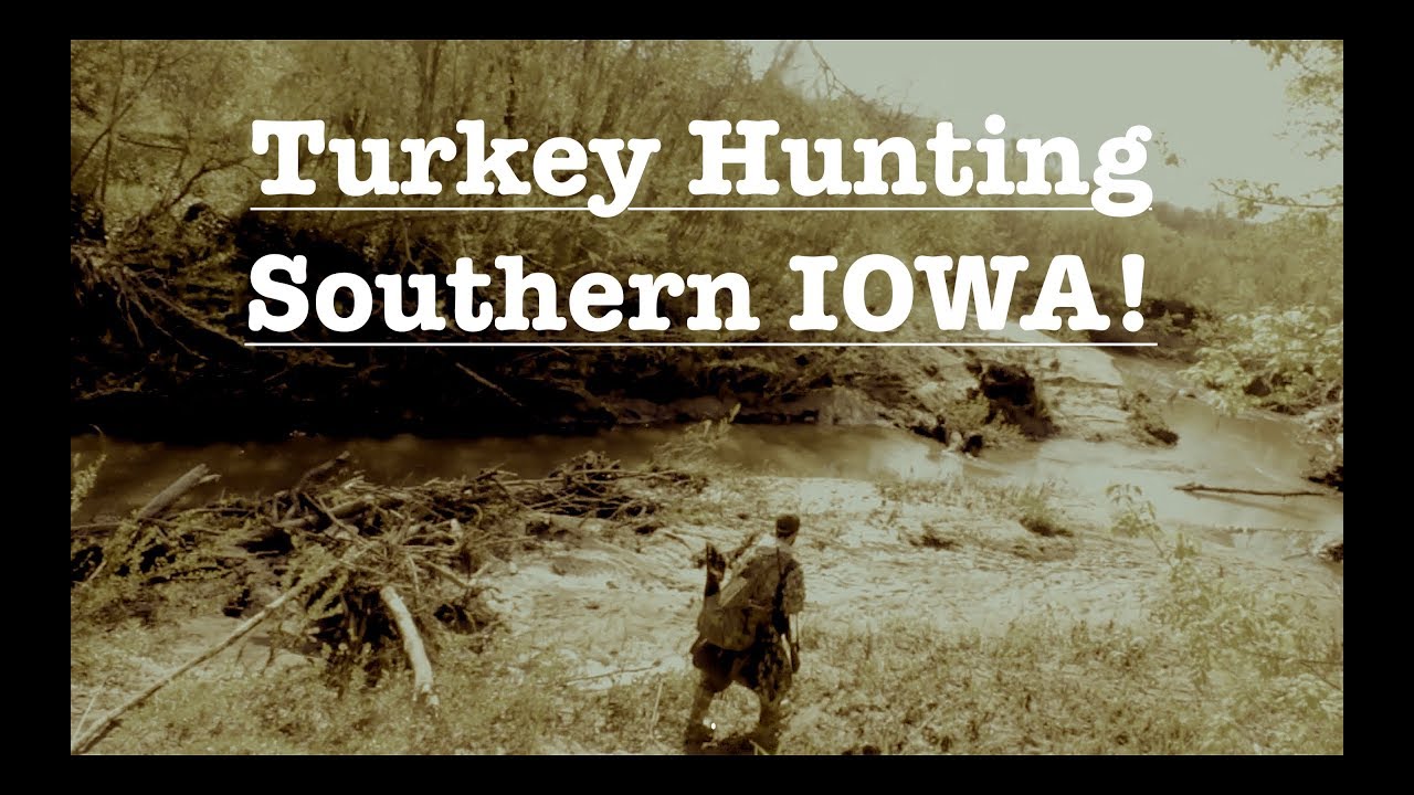 Turkey Hunting Trip Southern Iowa (Episode 2) YouTube