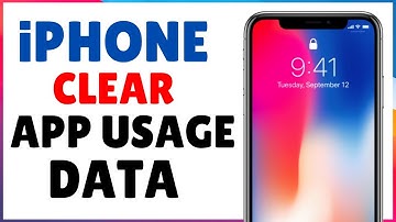 How To Clear App Usage Data On iPhone