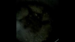 Nấu món La-gu chay ngon tuyá»t - Durasi: 2:53. Nấu món La-gu chay ngon tuyá»t - Durasi: 2:53.