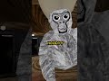 Join it to see me! #gorillatag #gorillatagquest #gtag #vr #gorilla #greengorilla