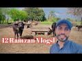 12 ramzan vlogs   raja akasha vlogs  my new vlog 