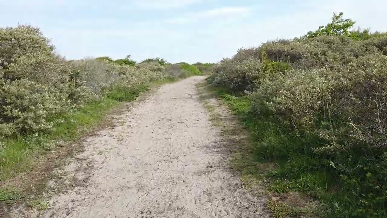 cam Egmond aan Zee YouTube