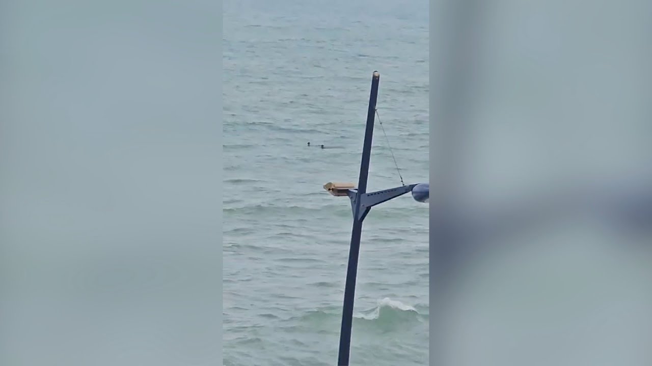 Así entran inmigrantes nadando a Ceuta