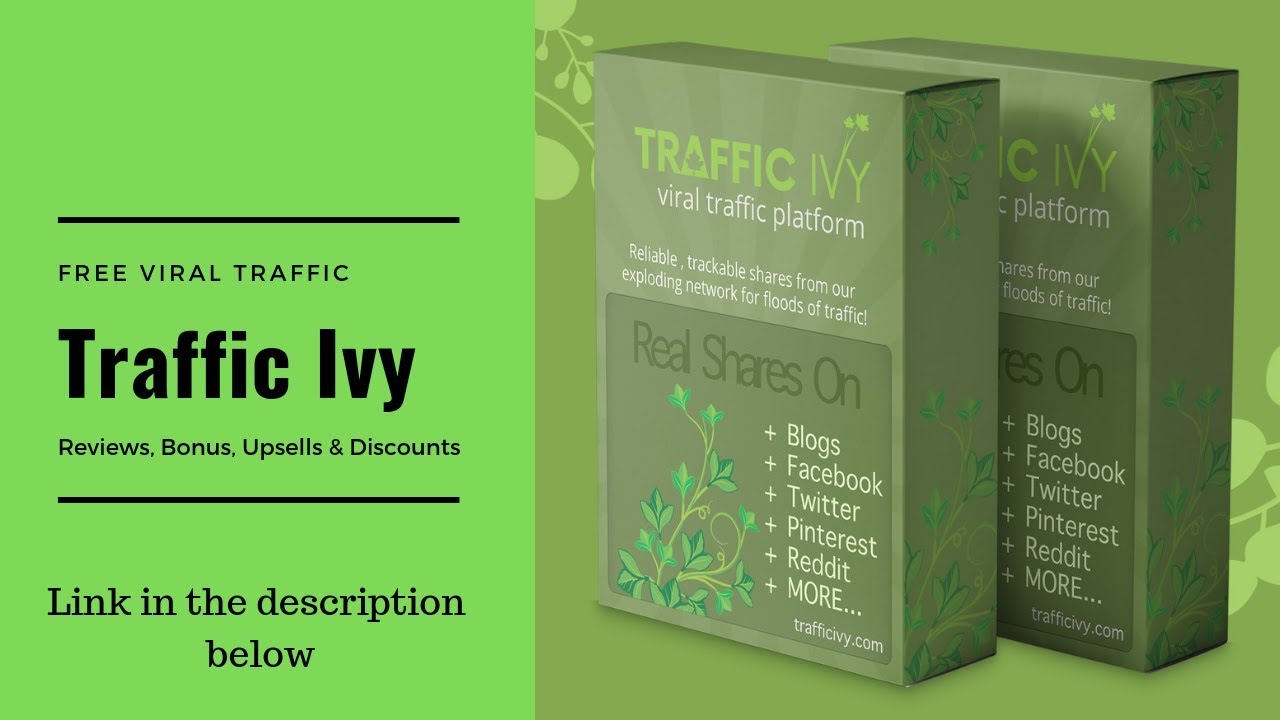 Traffic Ivy oto обзор-Traffic Ivy обзор | что такое Traffic Ivy