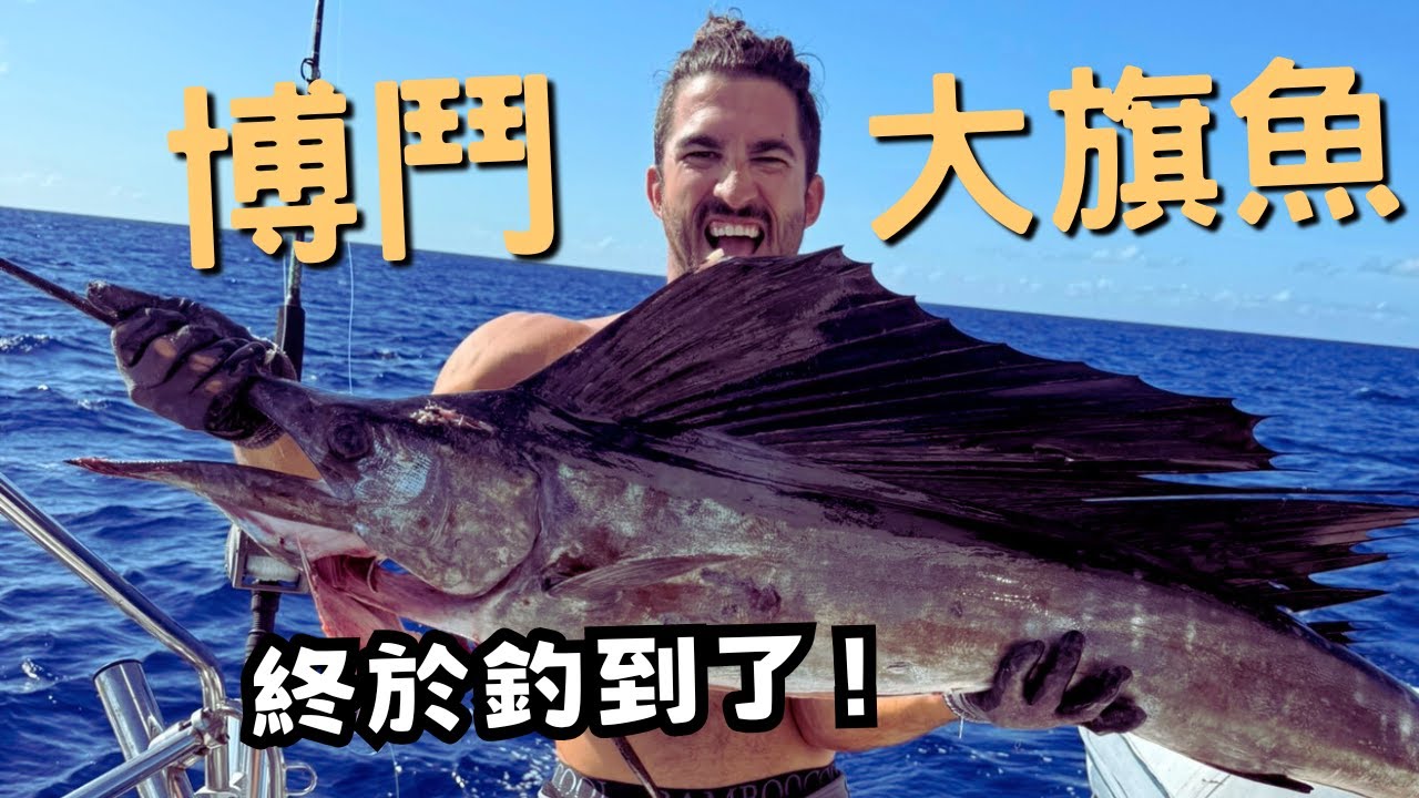 刺激搏鬥巨型旗魚 ！船長終於釣到了！血腥魚畫面請慎入