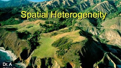 Spatial Heterogeneity