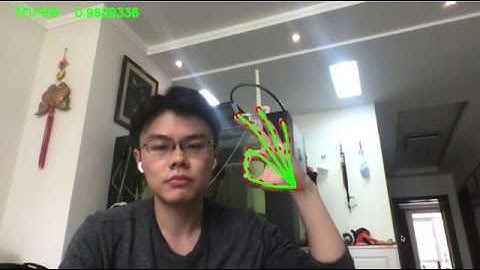 Gesture recognition on skeleton data by Mediapipe