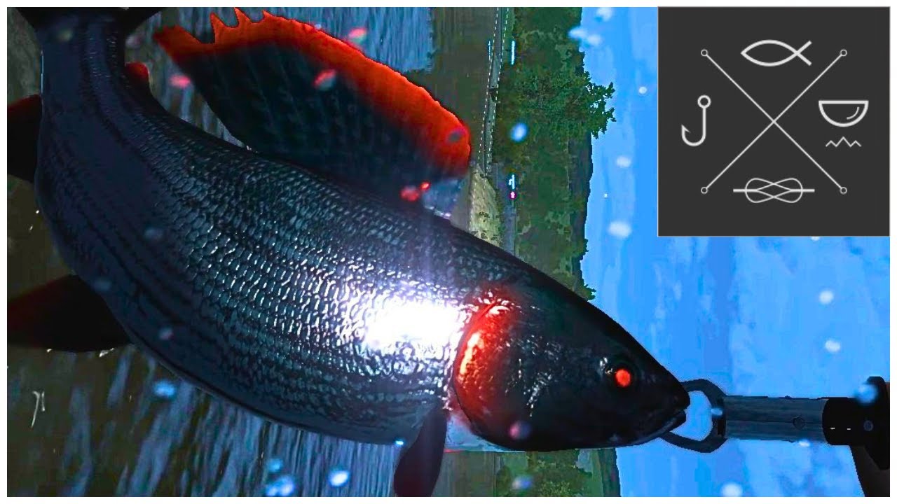 Grayling Wrestler Monster Catch! | Tiber River | Fishing Planet in 2025.