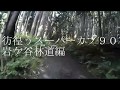 彷徨うスーパーカブ９０岩ケ谷林道編【APEMANA66】