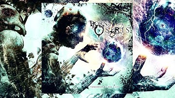 Born of Osiris - Machine (Mix & Master)