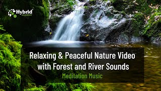 Relaxing & Peaceful Nature Video Forest River Sounds 3 Hours Long  meditation river riversounds