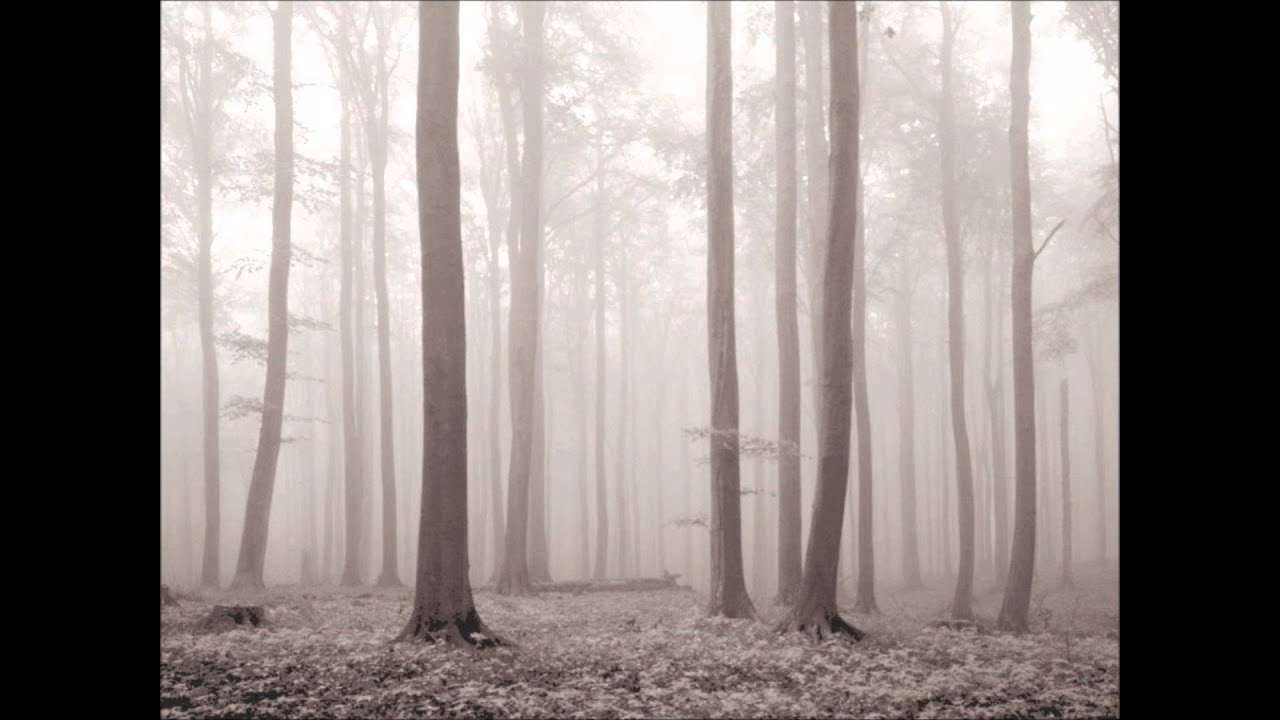 steve golin W. A. Mozart - (Marriner)] II. Andante
