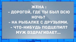 - Дорогой, где ты был всю ночь? Анекдоты.