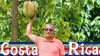 Costa Rica Durian Farm Tour