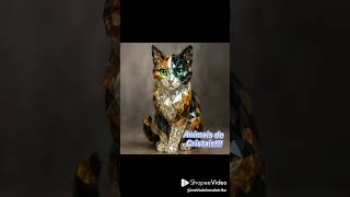 Decoração de Pets de Cristal #lovepets #lovecats (Link nos comentários) garanta o seu!!!