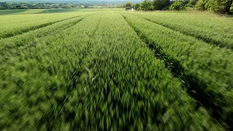 Naked Gopro 8 + Gyroflow v1.0.1 Quick test