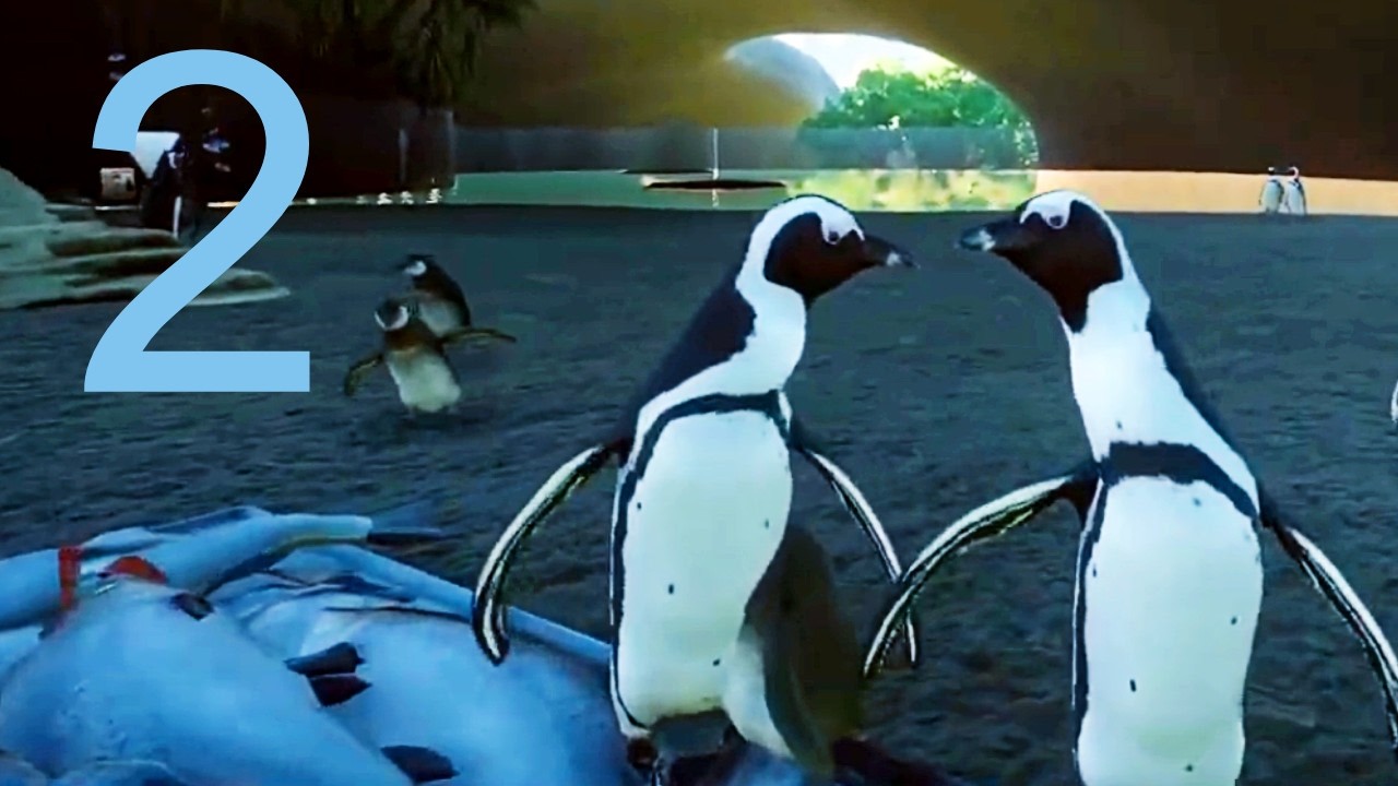 Planet Zoo - African Penguins (Ep 2)