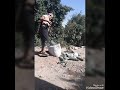 حرب قبيله العمري مخلاف شرعب السلام قريت 