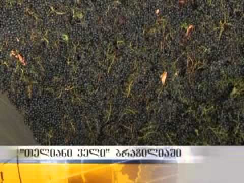 \"თელიანი ველის\" საფერავი ბრაზილიის ბაზარზე გადის