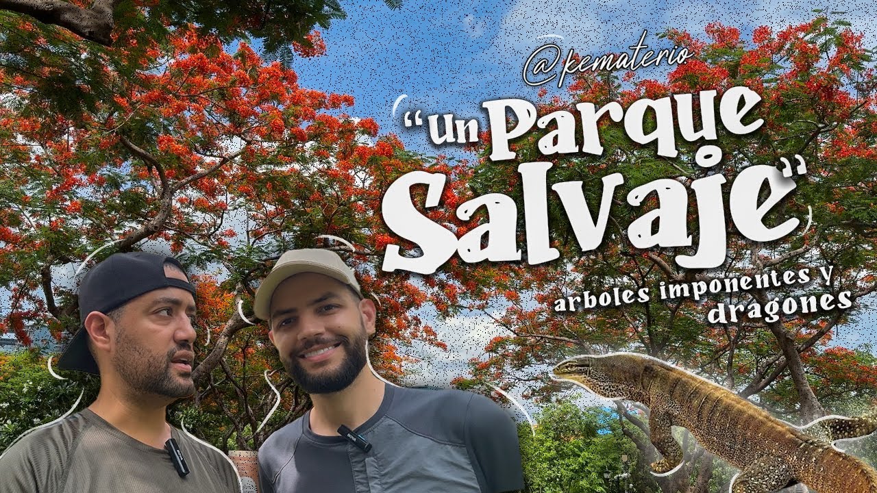 🌺 Imponentes Arboles Florecidos Loto y Vida Salvaje - Un Paraíso Verde en Medio de Bangkok