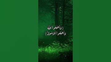 القارئ رعد الكردي ،،، وأطيعوا الله وأطيعوا الرسول ،، سورة التغابن ،، حالات واتساب