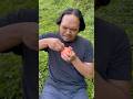 Lifehack skills: Removing apple stickers🍎🤤#camping #lifehack #survival #bushcraft#outdoors