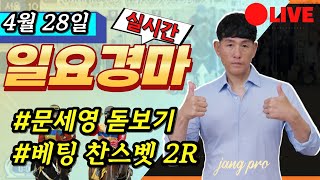 [일요경마] 형님들 경마장 가기전에 이것(?)만은 꼭 챙기세요. 후회하지들 마시고..