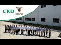 Ckd corporation hanshin neji thailandco ltd