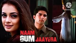 Teri palke Jo uthi Full Audio song || Diya Mirza, Rakesh Bapat || Babul Supriyo