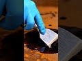 Magical Rust Converter: Green Liquid Transforms Rust in Seconds! ✨🔧