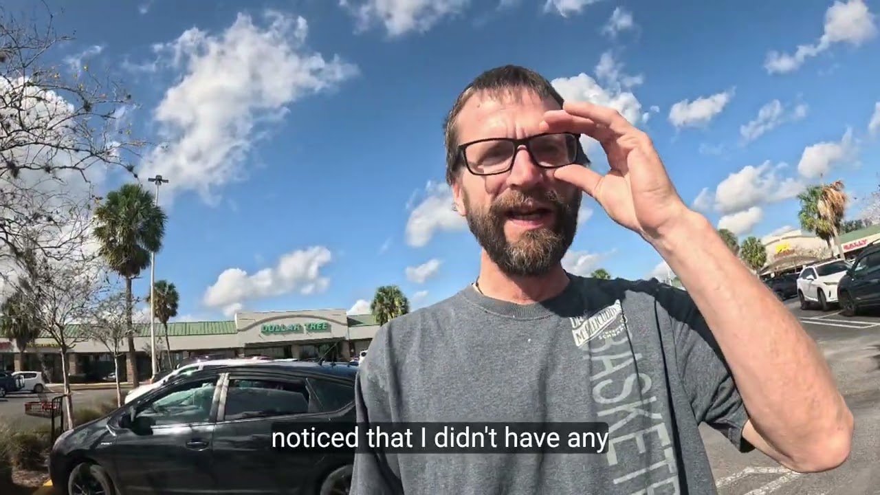 Toyota Prius Car Camping Florida with dog