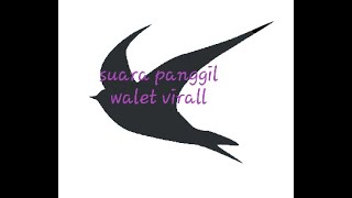 Suara panggil walet viral !!!