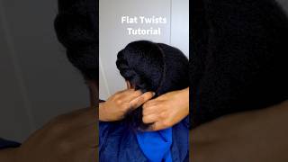 QUICK FLAT TWISTS TUTORIAL #protectivestyles #flattwists #naturalhaircaretips #hairtutorials