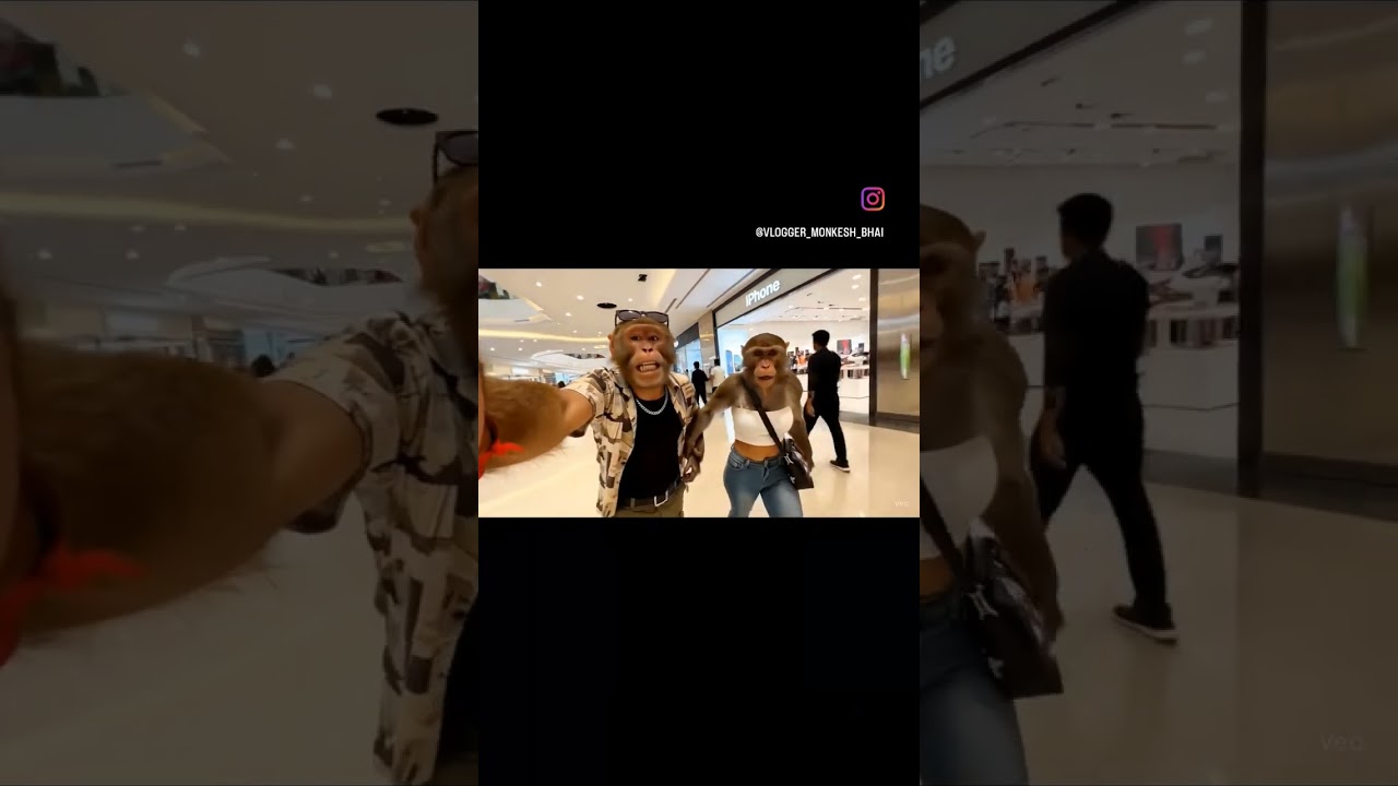 monkesh vlogger. ..... 