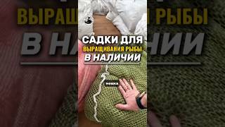 Садки для выращивания рыбы. В наличии #иваносетр #рыбалка #рыбоводство