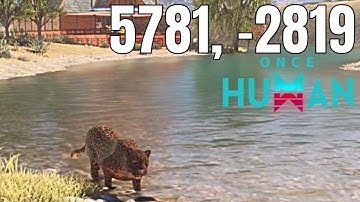 Fast Farm Leopards Post Version 2.2.0 Once Human