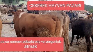 HAYVAN PAZARI ZİYARETİMİZ SONRASIN DA SOBADA CAY KEYFİ.