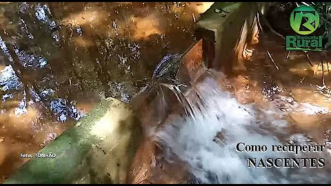 É possível recuperar um lago Eutrofizado?