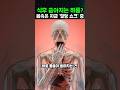 식후에 쏟아지는 잠의 비밀?😲