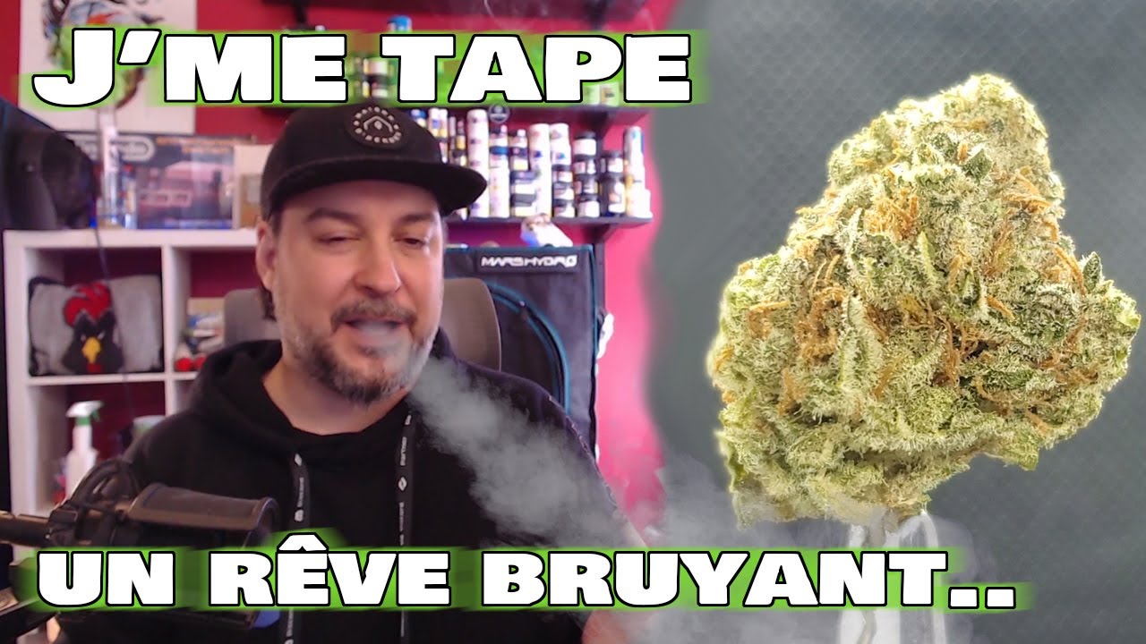 LOUD DREAM - 21 % THC - Plantations Cérès - Présentation et test de leur cannabis !