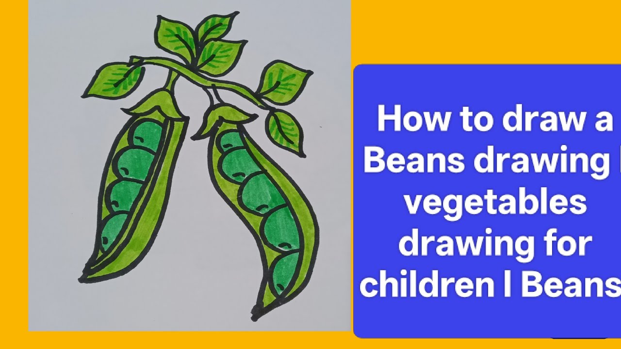 How to draw a Bean's l vegetables drawing for children l step by step drawing tutorials for children